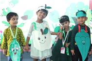 Photo Gallery